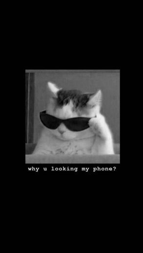 Why u looking my iphone 