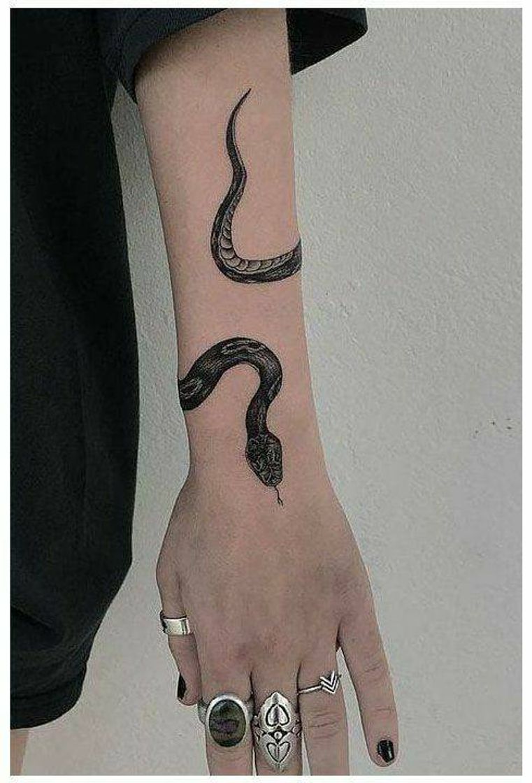 Fashion Tatuagem de cobra