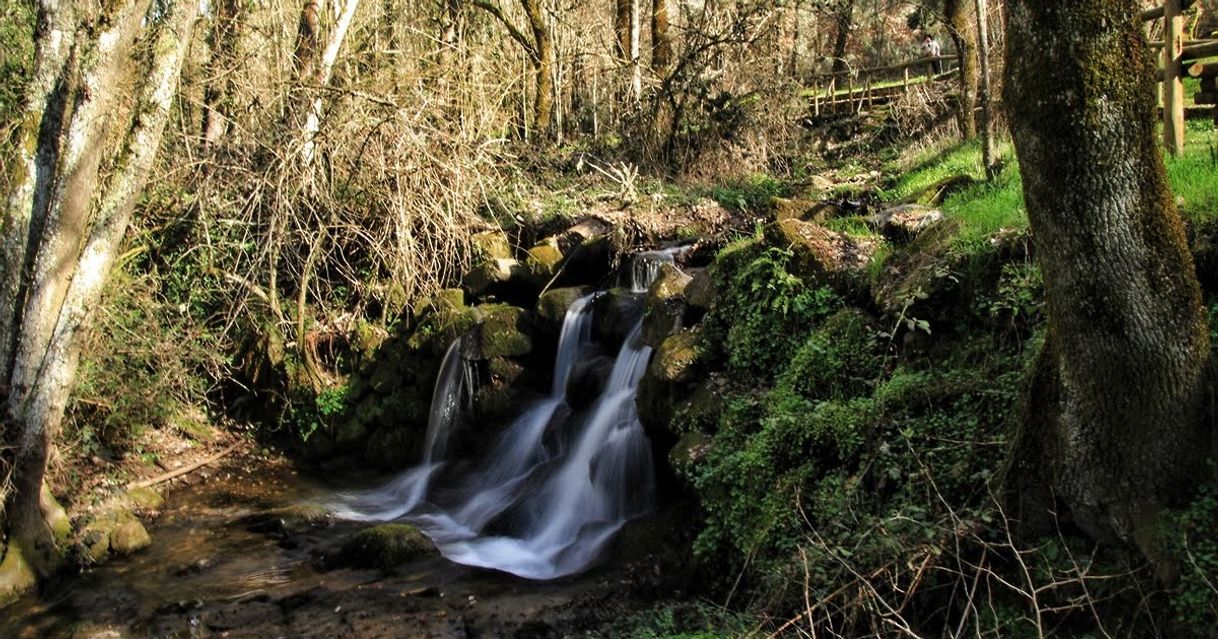 Lugares Fuente del Sapo