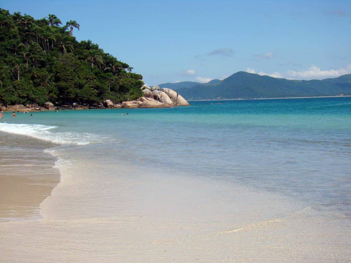Lugar Praia do Campeche
