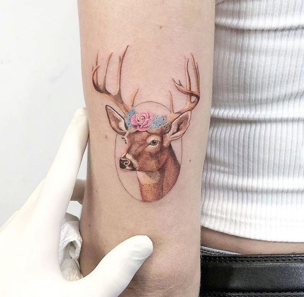 Moda 🦌 