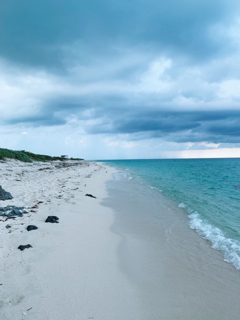 Lugar Cayo Santa Maria