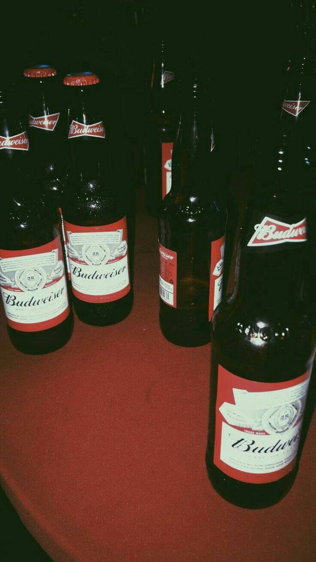 Moda 🍺