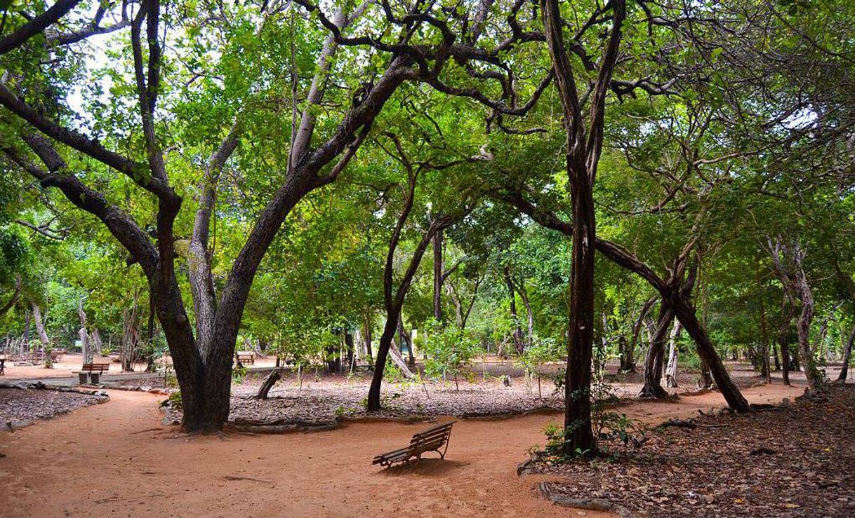Place Parque das Dunas