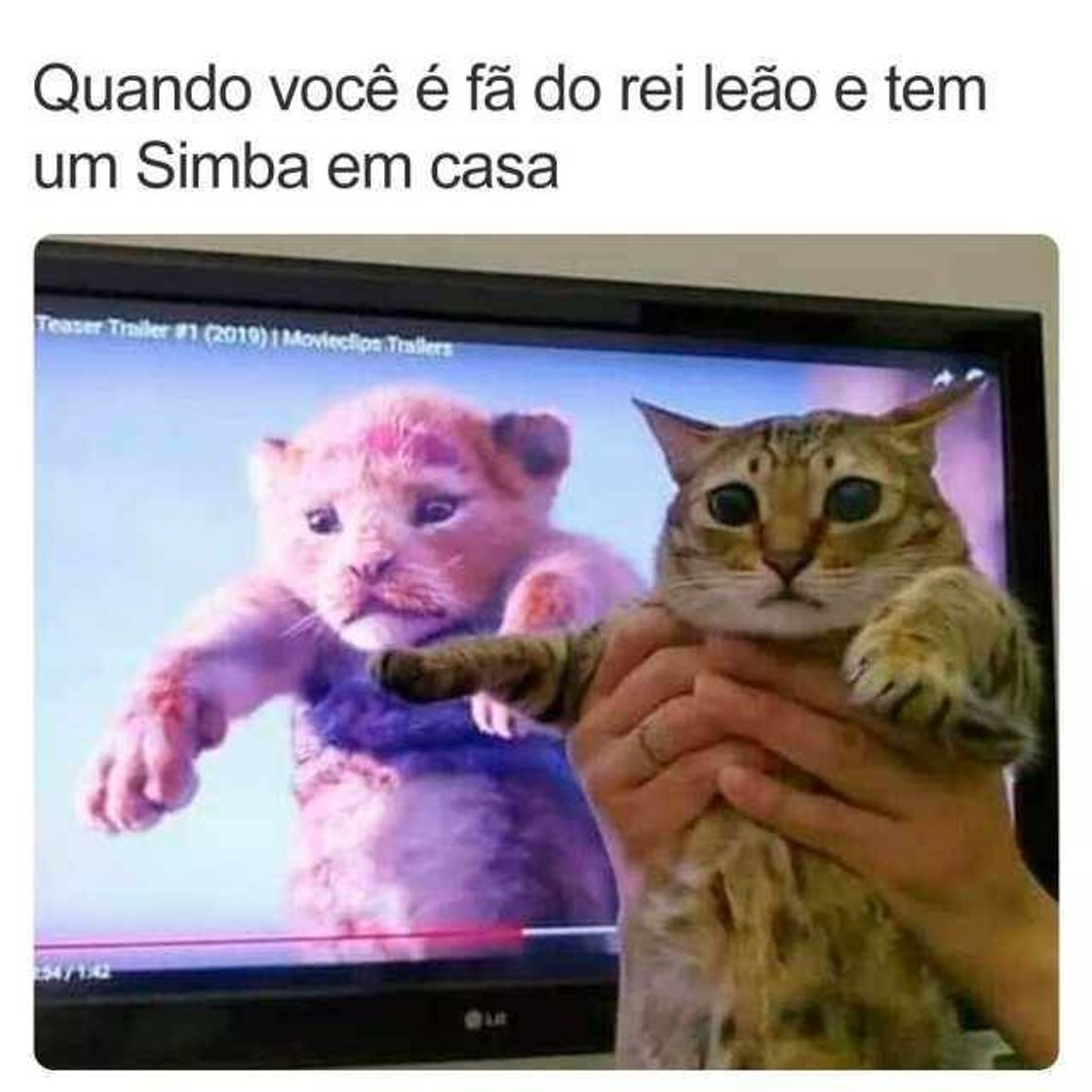 Moda É o ciclo sem fim... 🎶