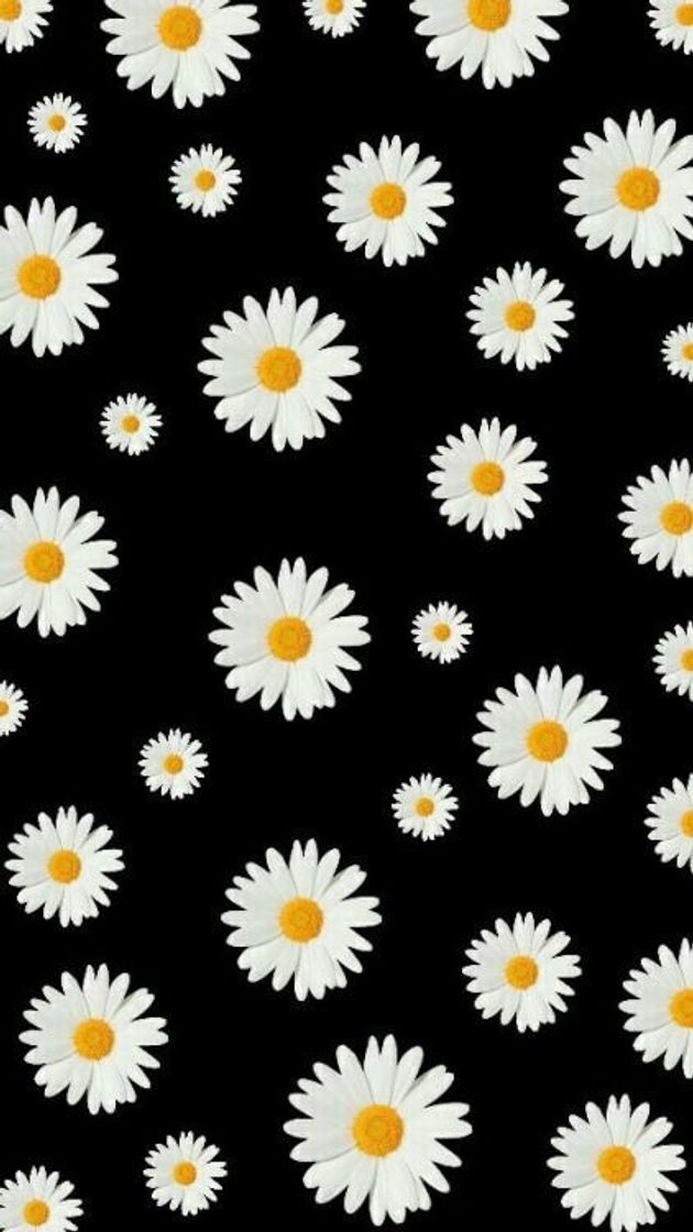 Fashion Wallpaper Margaridas 🌼