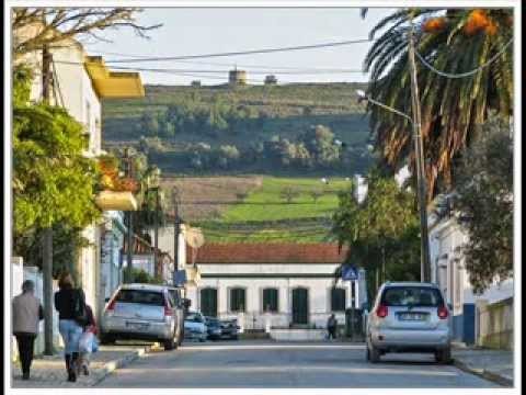 Quinta do Anjo
