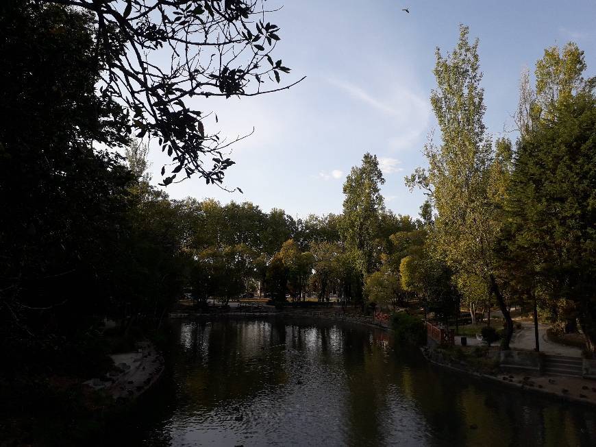 Place Parque Dom Pedro Infante - City Park