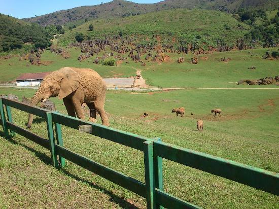 Lugar Parque de la Naturaleza de Cabárceno