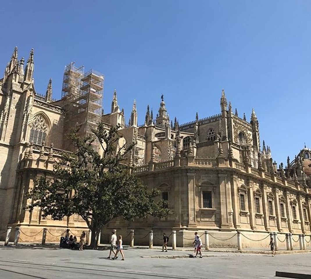 Place Catedral de Sevilla