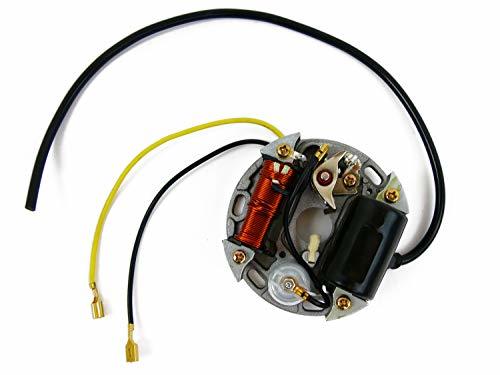Alternador 6 V 17 W Encendido Compatible con/Pieza de Repuesto para Puch