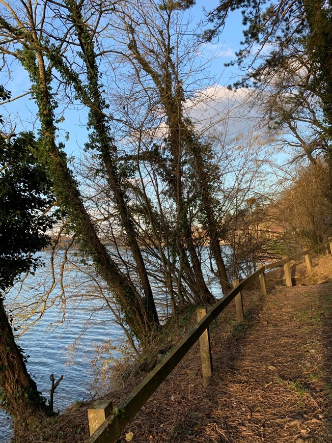 Place Lac de Paladru