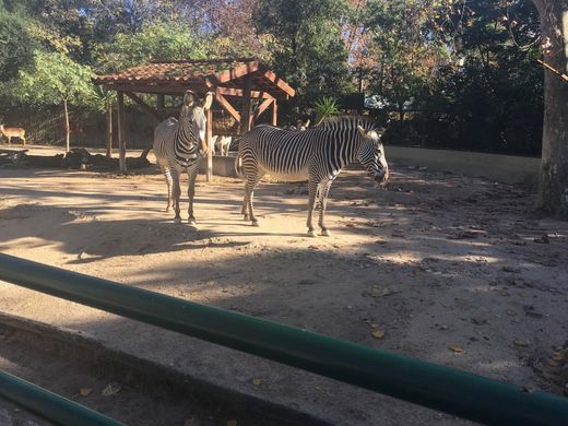 Jardim Zoológico de Lisboa