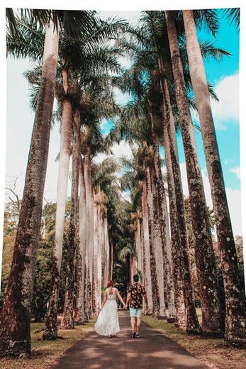 Jardín Botánico de Pamplemousses