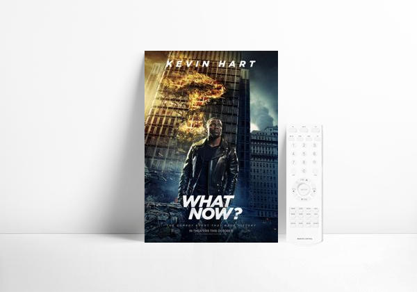 Série Kevin Hart-What Now?