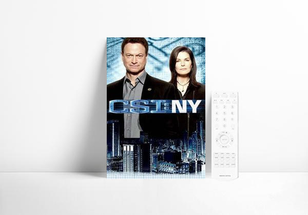 Série CSI: Nova York