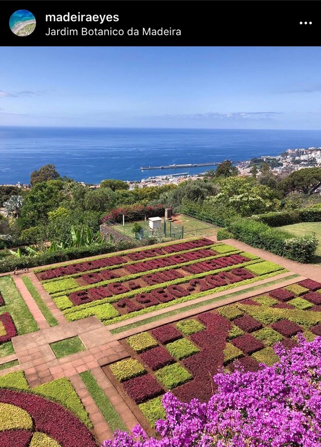 Lugar Jardín Botánico de Madeira