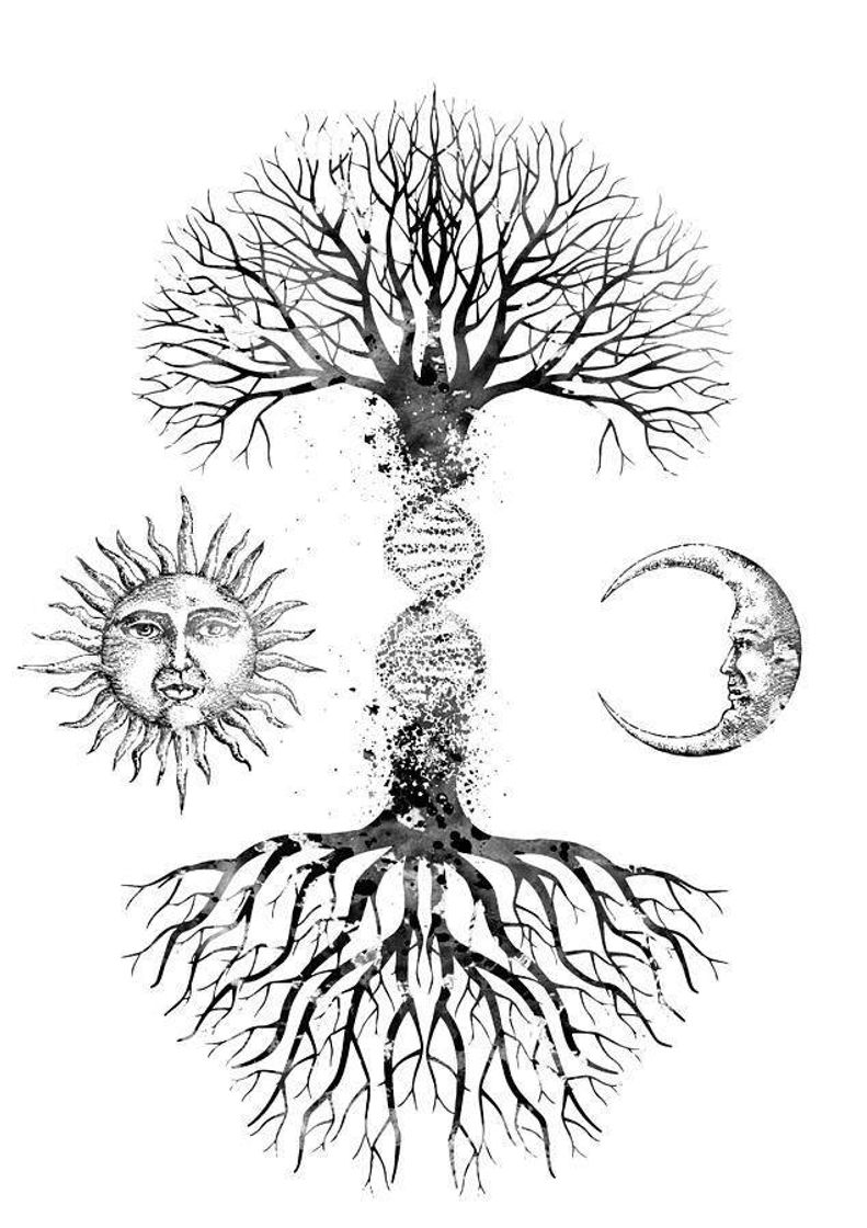 Tattoo: Genetic tree and ☀️🌙