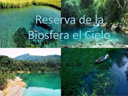 Reserva de La Biosfera El Cielo