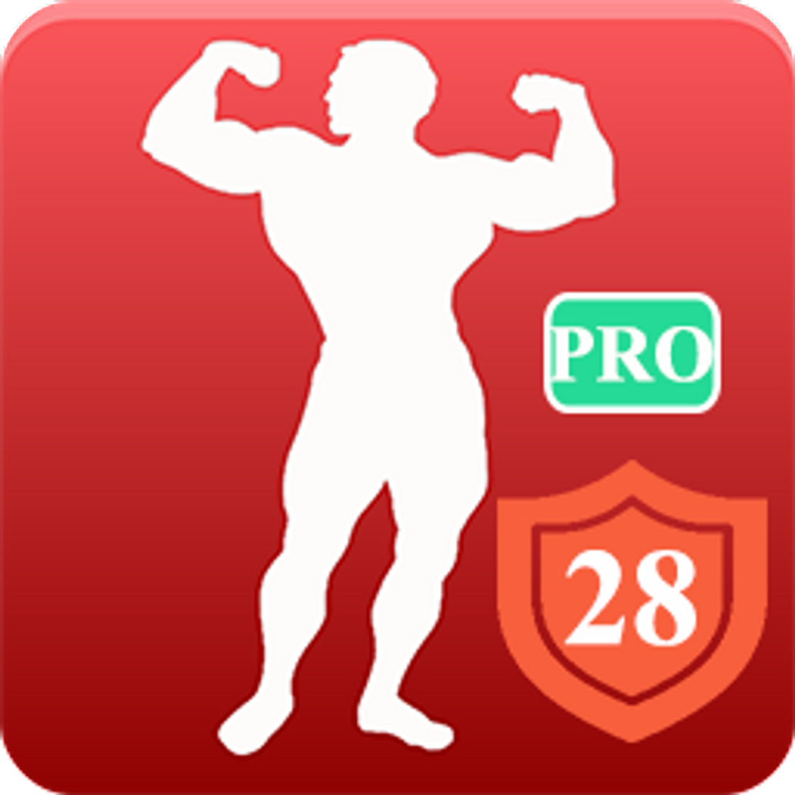 App Workout Pro