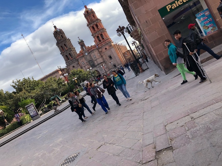 Places Plaza de armas San Luis Potosi