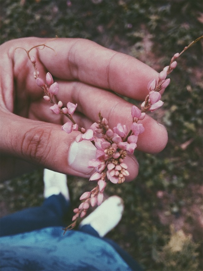 Moda Una flor en verano