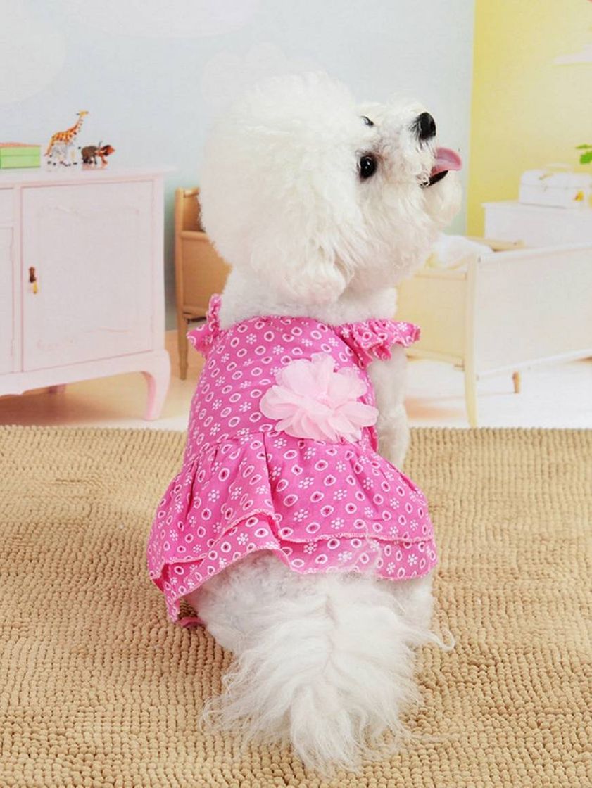 Moda Roupas para pets