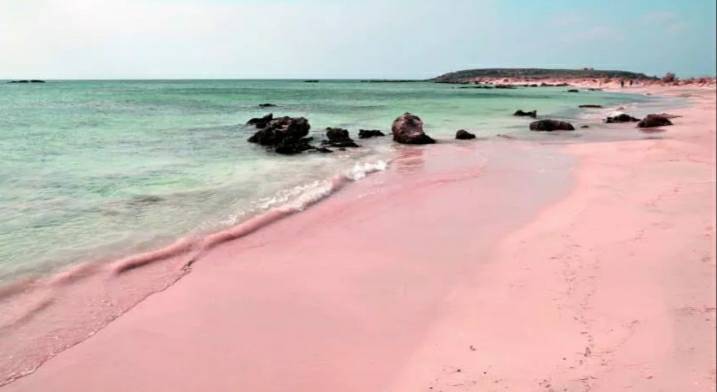 Lugar Pink Sands Beach