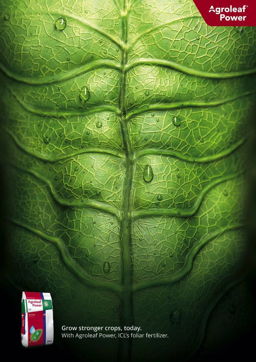Agroleaf Power |