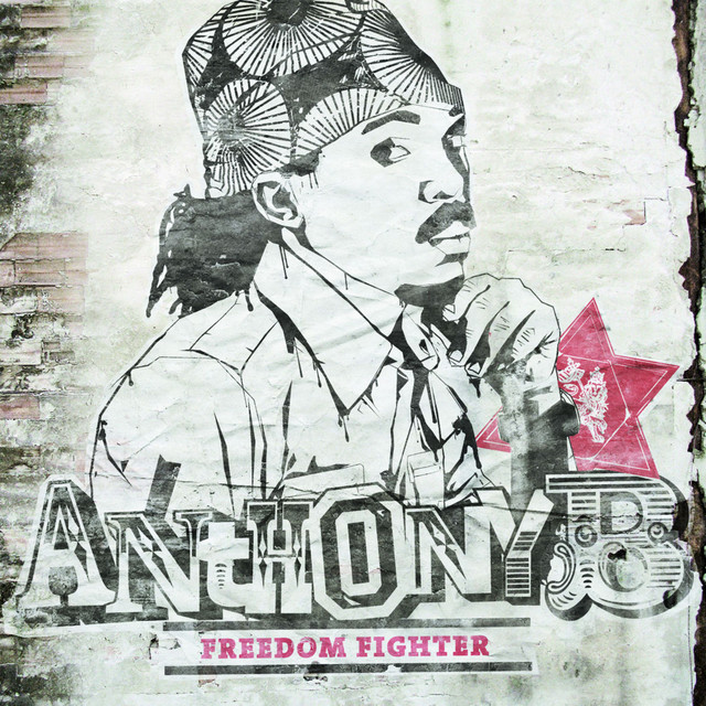 Music Freedom Fighter