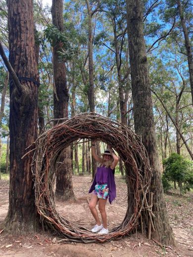 Uaná Etê Jardim Ecológico Ecological Garden