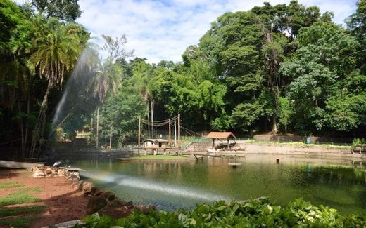 Parque Bosque dos Jequitibás