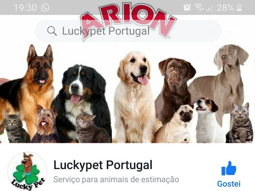 Moda luckypet portugal