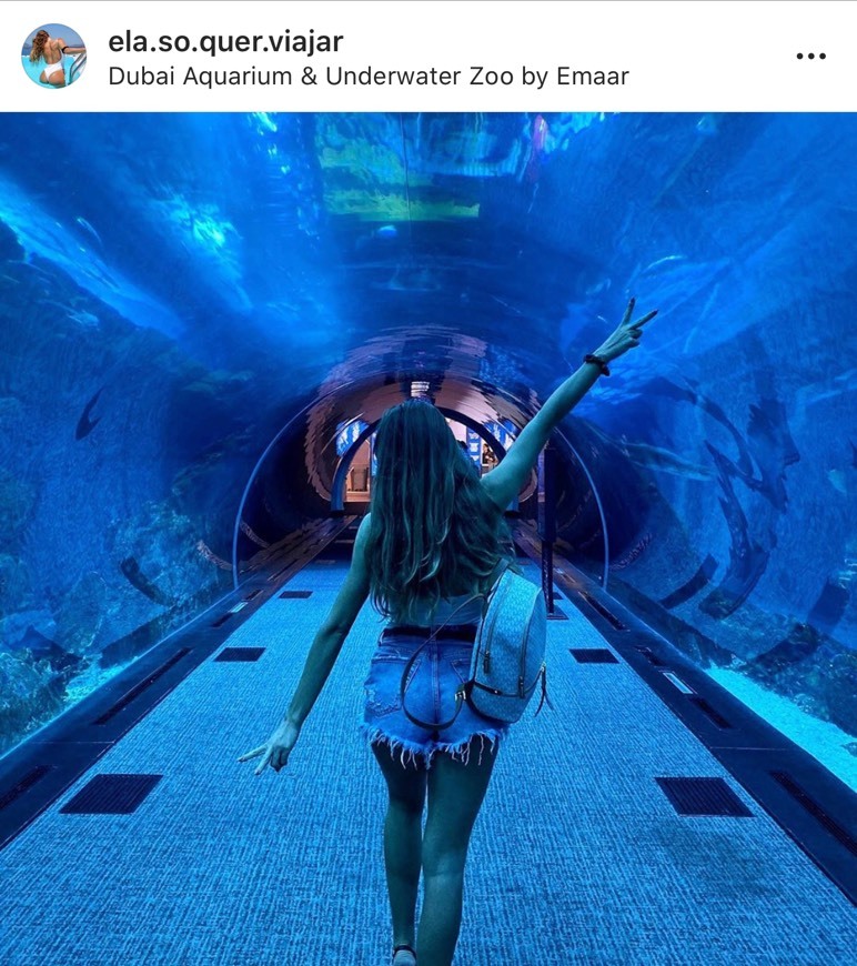 Lugar Dubai Aquarium & Underwater Zoo