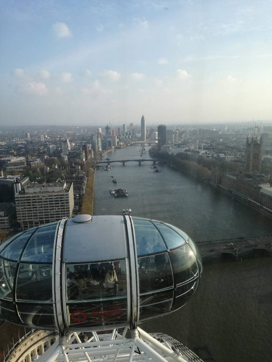 Place London Eye