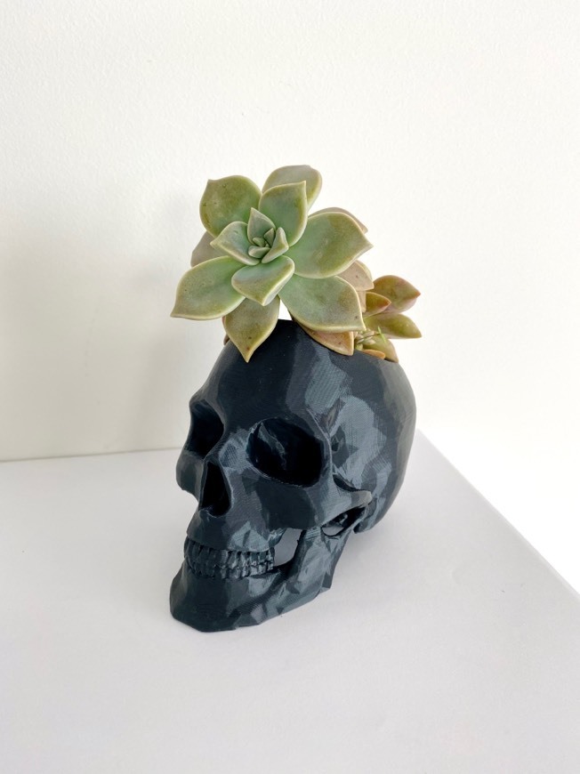 Producto 3D Skull planter 