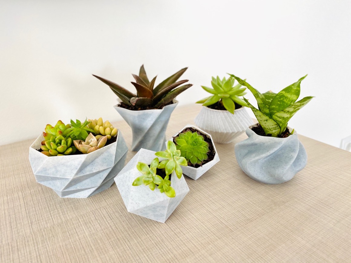 Producto Mini garden of succulents