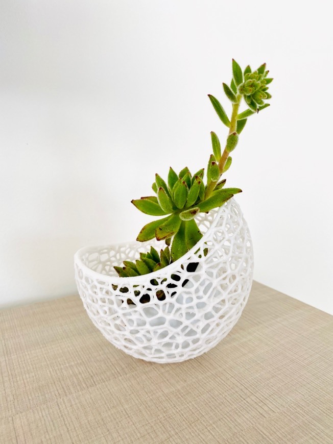 Producto Succulent no voronoi vase