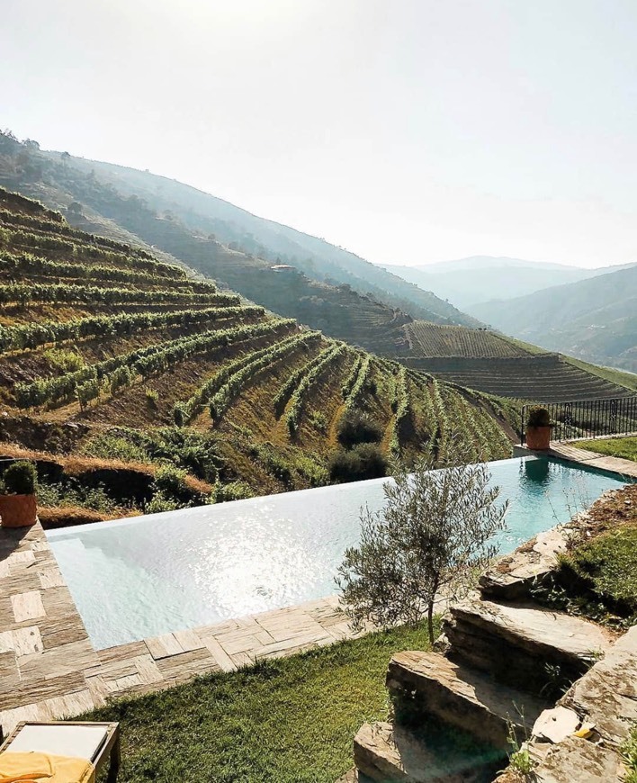 Place Quinta da Gricha Vineyard Residence