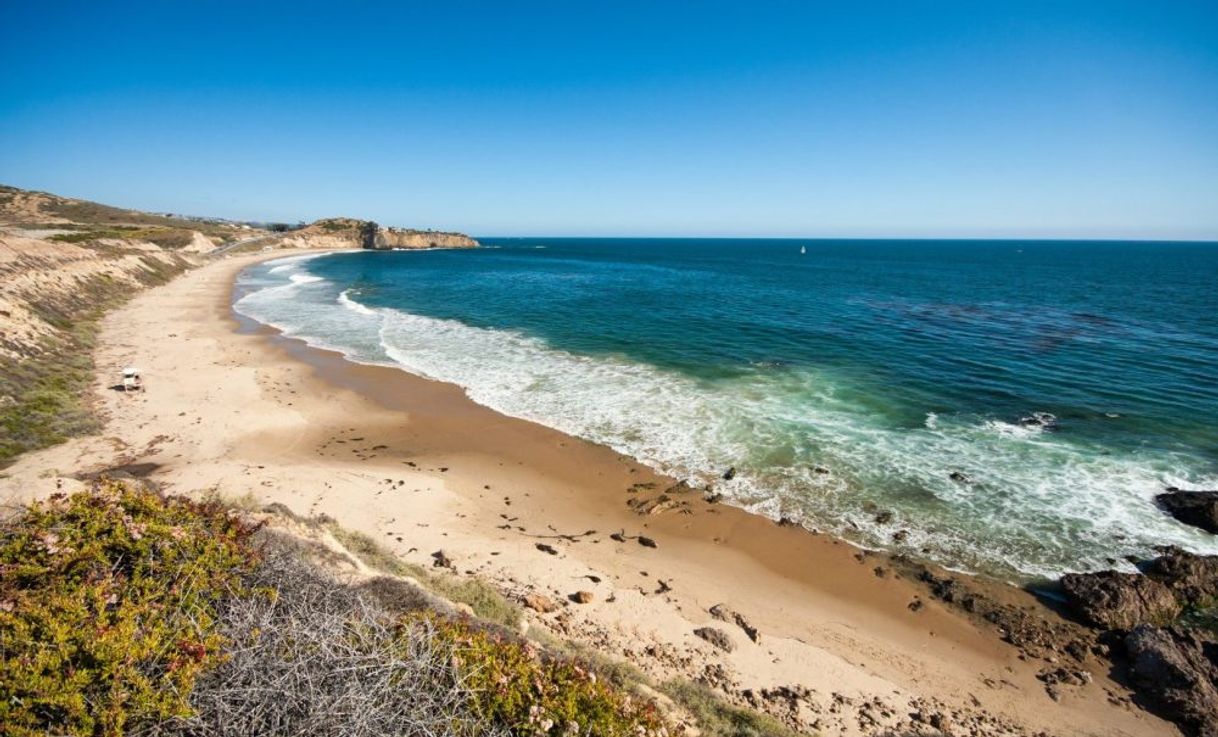 Place Crystal Cove