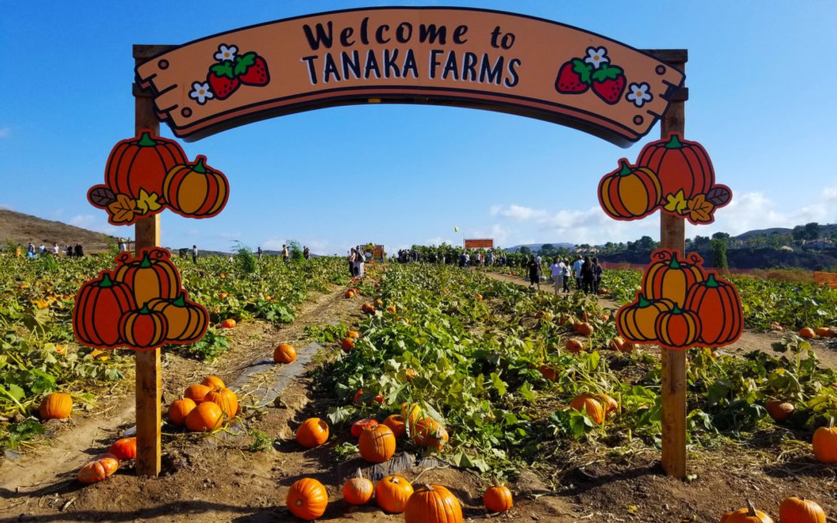 Place Tanaka Farms