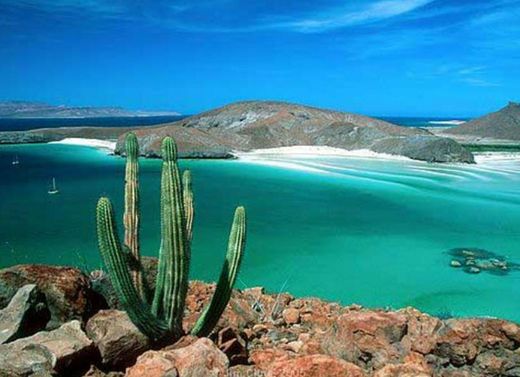 Bahia De Los Angeles Baja California