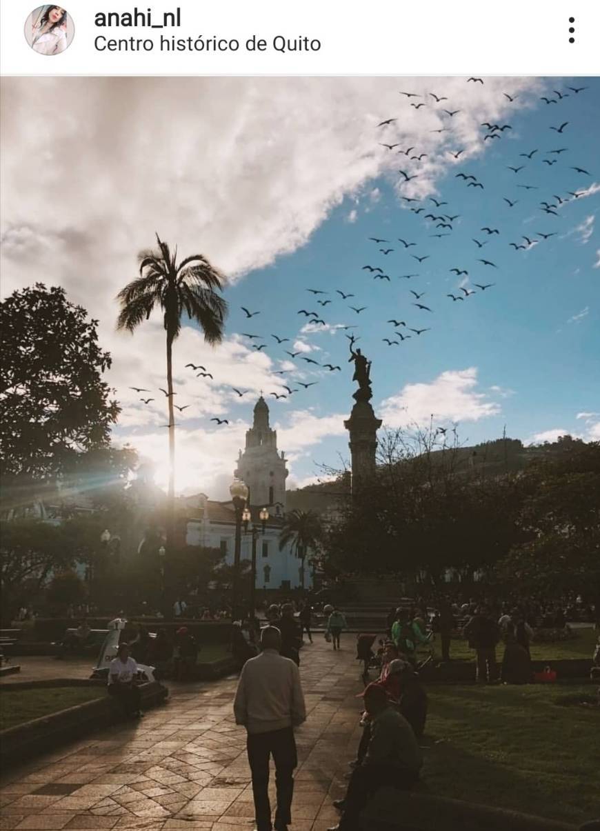 Lugar Centro historico Quito