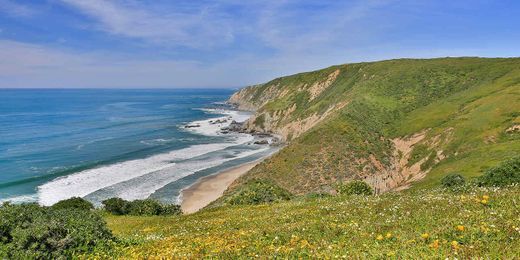 Place Point Reyes National Seashore