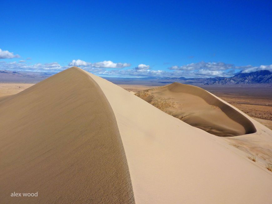 Places Kelso Dunes