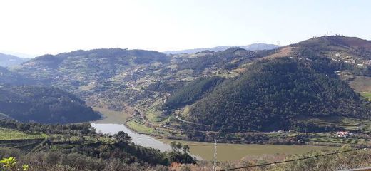 Douro