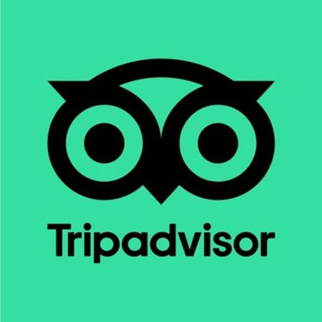 App Tripadvisor Hotels & Vacation