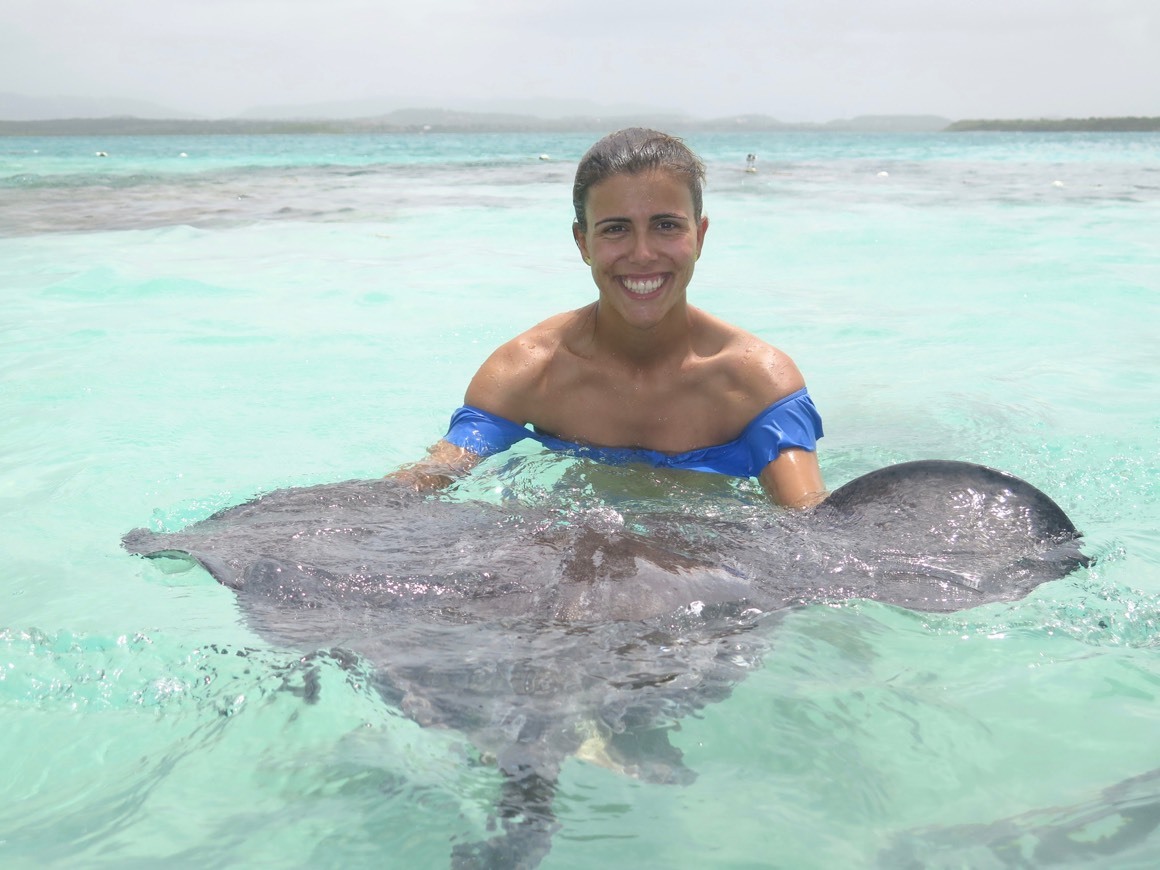 Fashion Stingray City