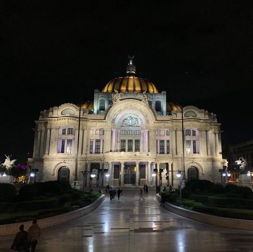 Place Palacio de Bellas Artes