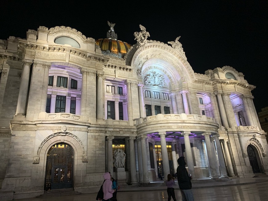 Lugar Palacio de Bellas Artes